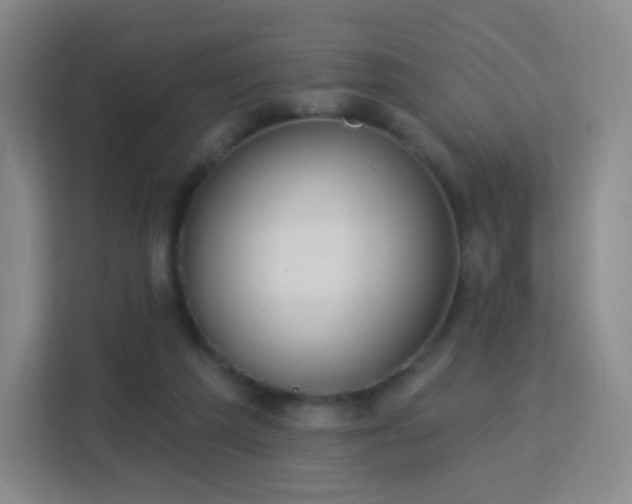 X0000113180209200909111101