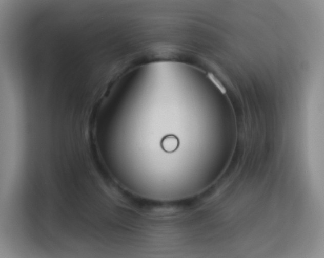 X0000113180213200909111101