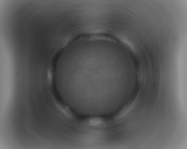 X0000113180214200909111101