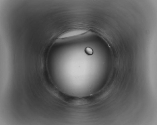 X0000113180215200909111101