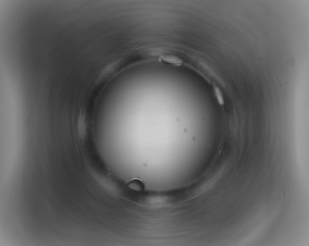 X0000113180216200909111101