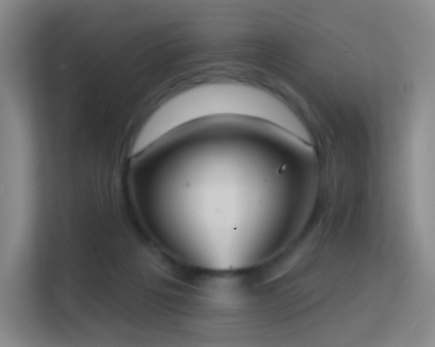 X0000113180217200909111101