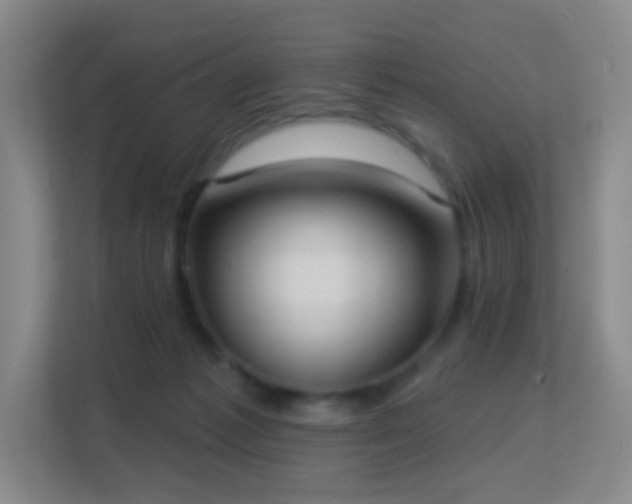 X0000113180221200909111101