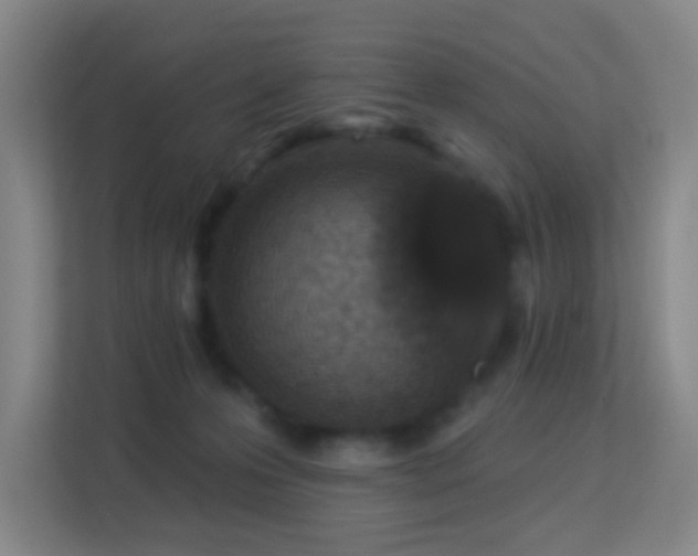 X0000113180223200909111101
