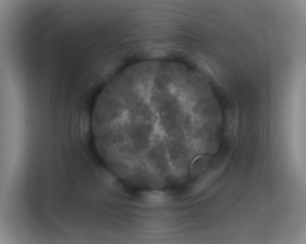 X0000113180230200909111101