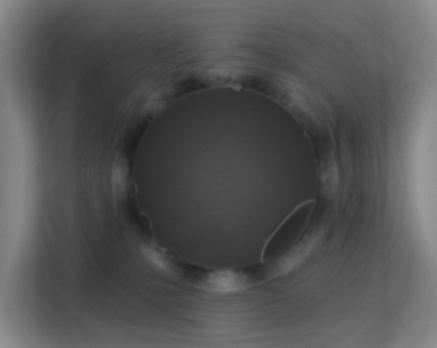 X0000113180231200909111101