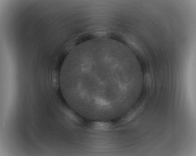 X0000113180234200909111101