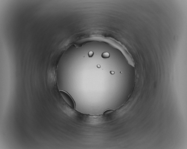 X0000113180240200909111101