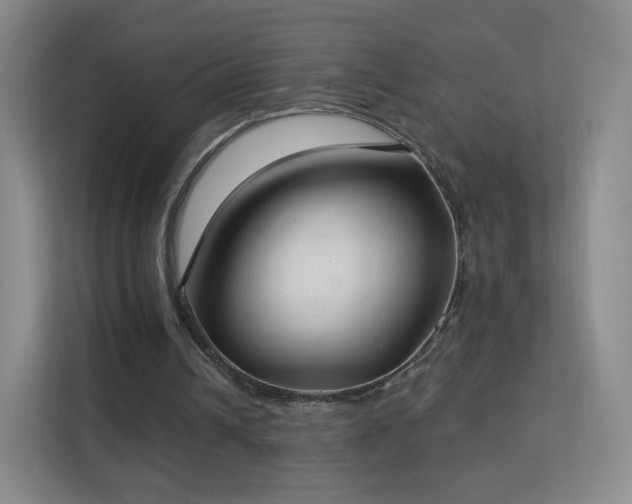 X0000113180242200909111100