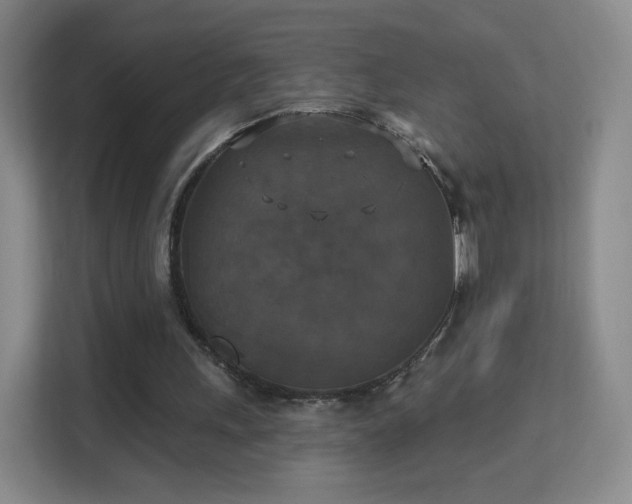 X0000113180243200909111100