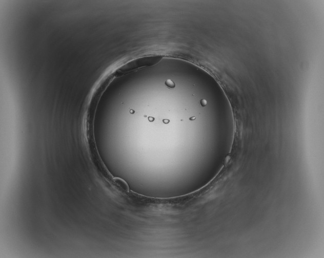 X0000113180244200909111100