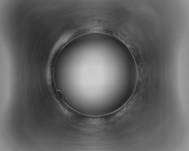 X0000113180245200909111100