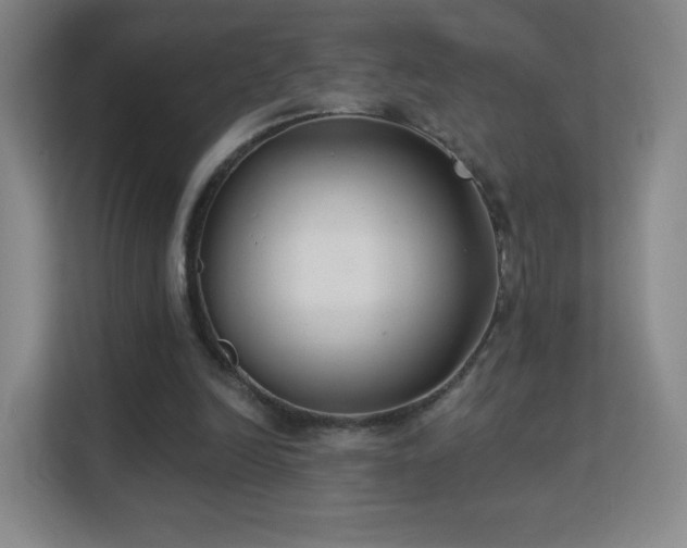 X0000113180246200909111100