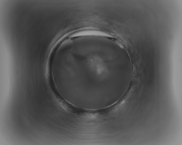 X0000113180247200909111100