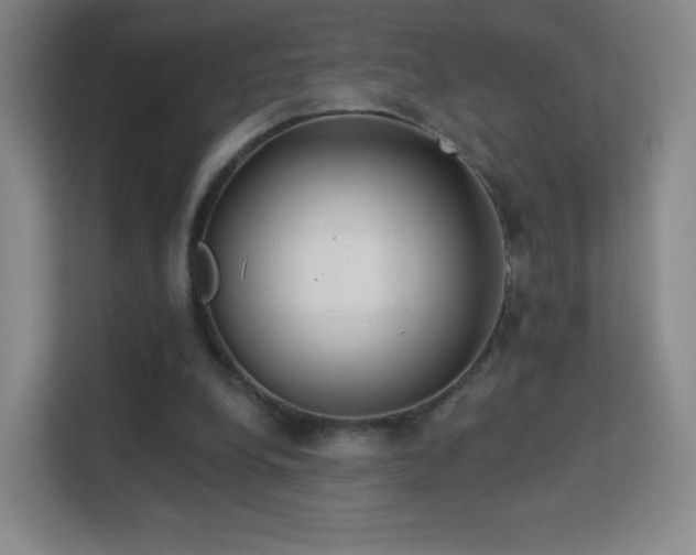 X0000113180248200909111100