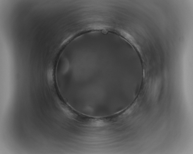 X0000113180249200909111100