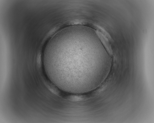 X0000113180250200909111100