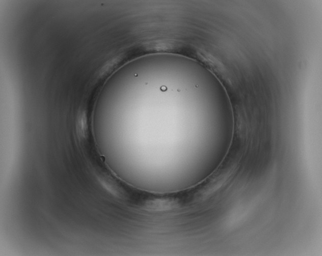 X0000113180251200909111100