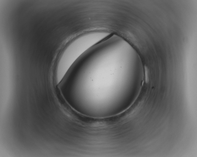 X0000113180252200909111100
