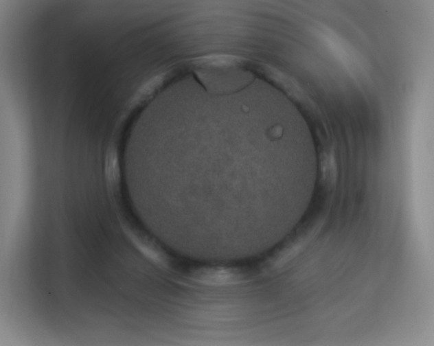 X0000113180254200909111100