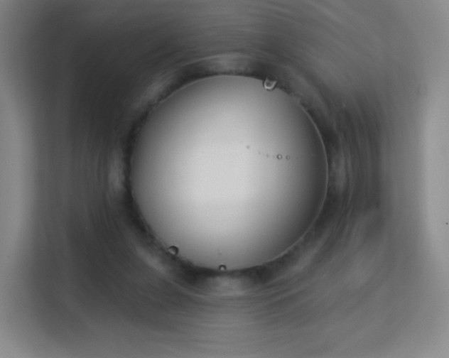X0000113180255200909111100