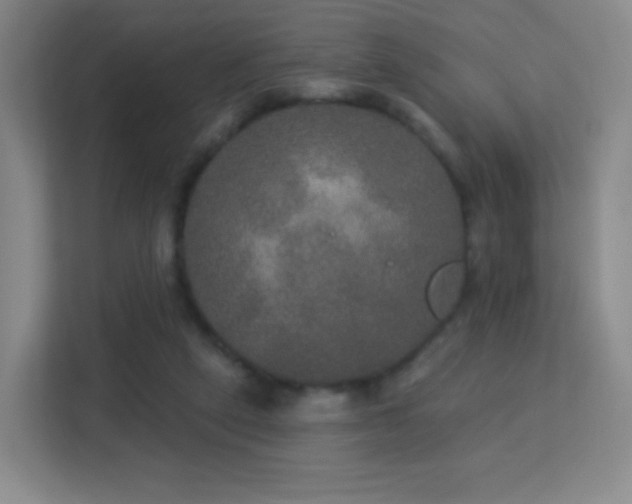 X0000113180257200909111100