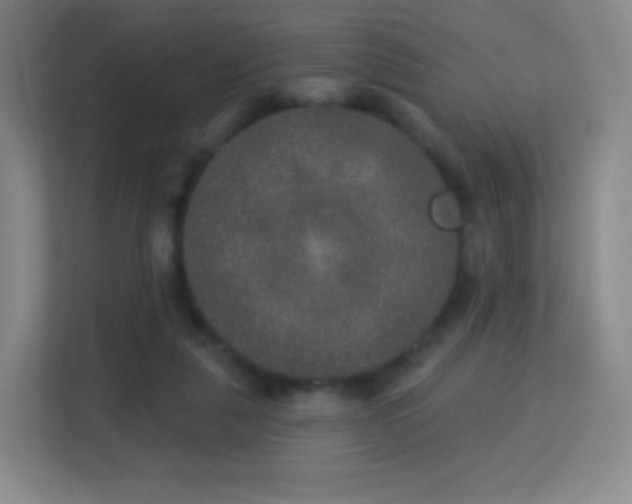 X0000113180259200909111100