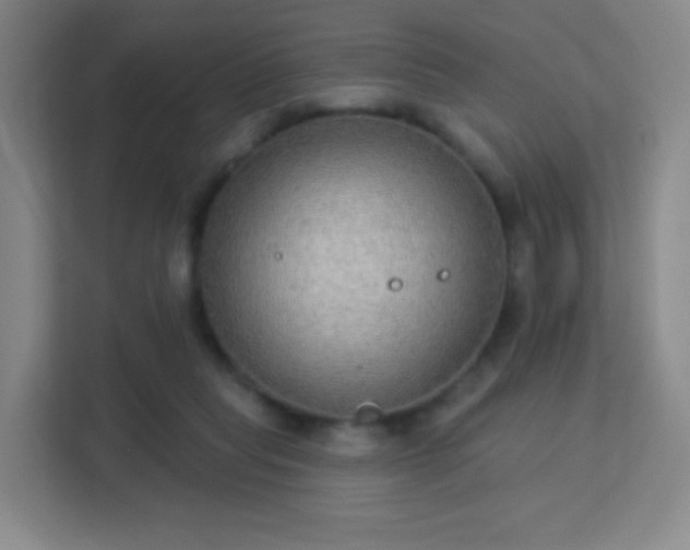 X0000113180261200909111100