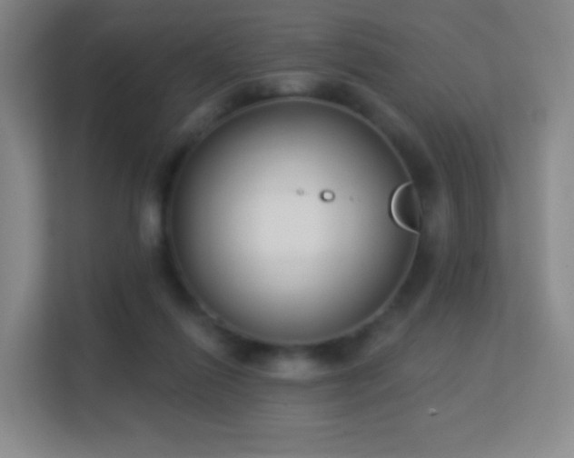 X0000113180262200909111100