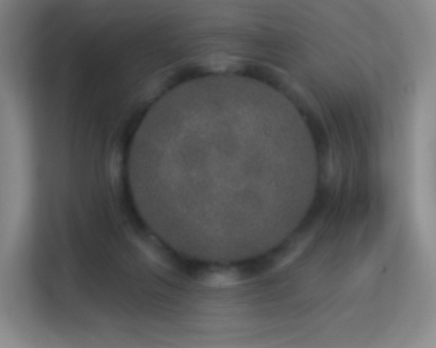 X0000113180263200909111100