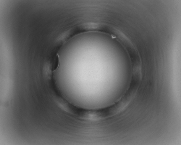X0000113180264200909111100