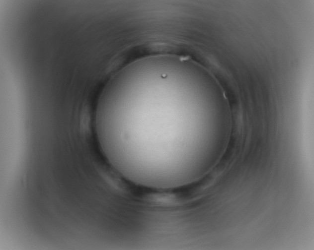 X0000113180266200909111100