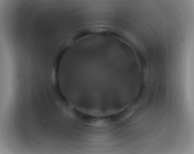 X0000113180267200909111100