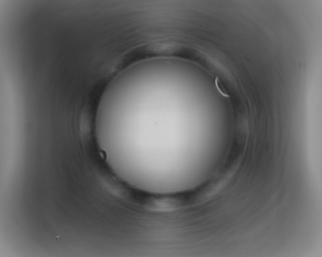 X0000113180268200909111100