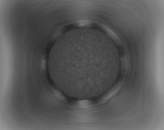 X0000113180269200909111100