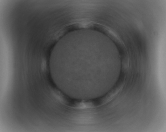 X0000113180270200909111100