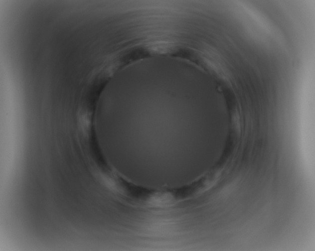 X0000113180271200909111100