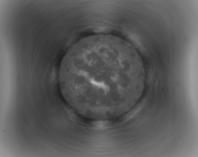 X0000113180273200909111100