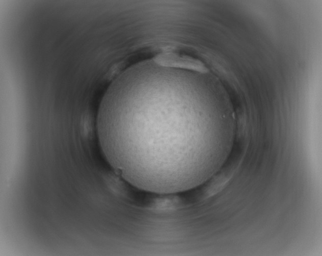 X0000113180274200909111100