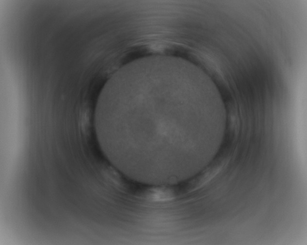 X0000113180275200909111100