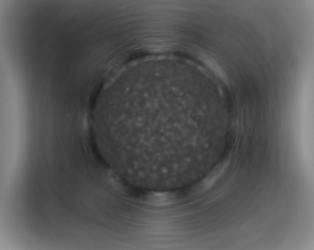 X0000113180277200909111100