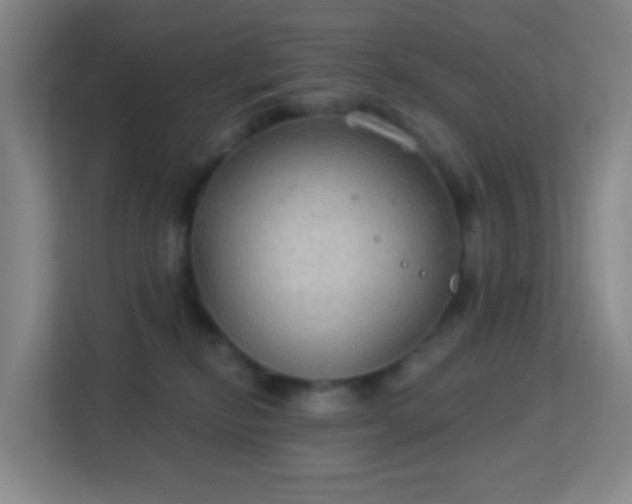 X0000113180278200909111100