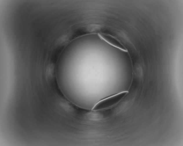 X0000113180280200909111101