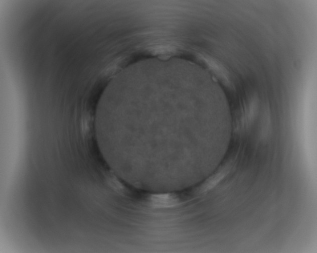 X0000113180281200909111101
