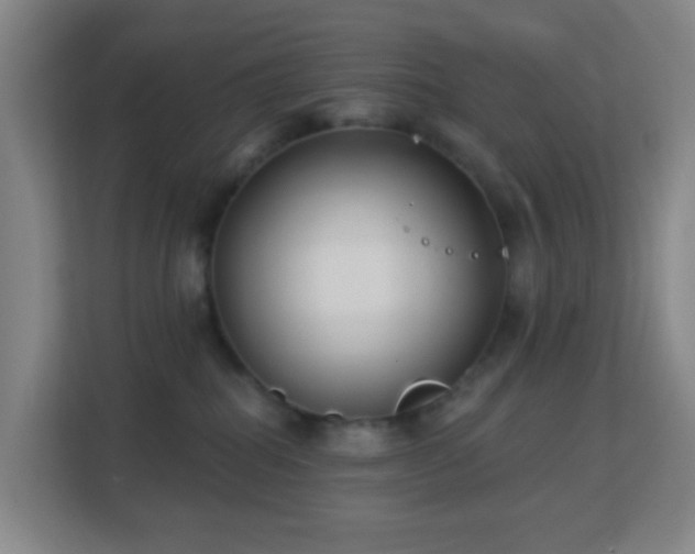 X0000113180282200909111101