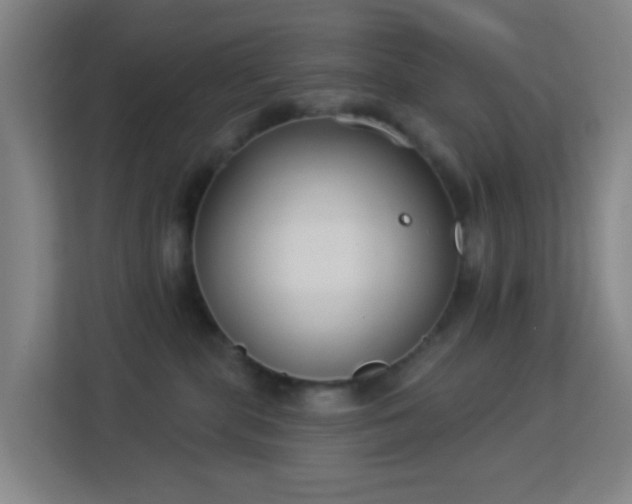 X0000113180283200909111101