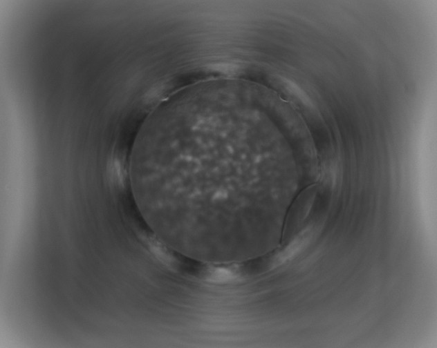 X0000113180285200909111101