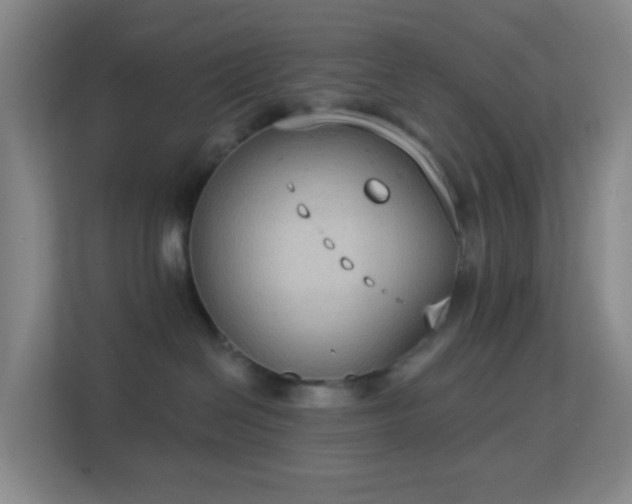 X0000113180286200909111101