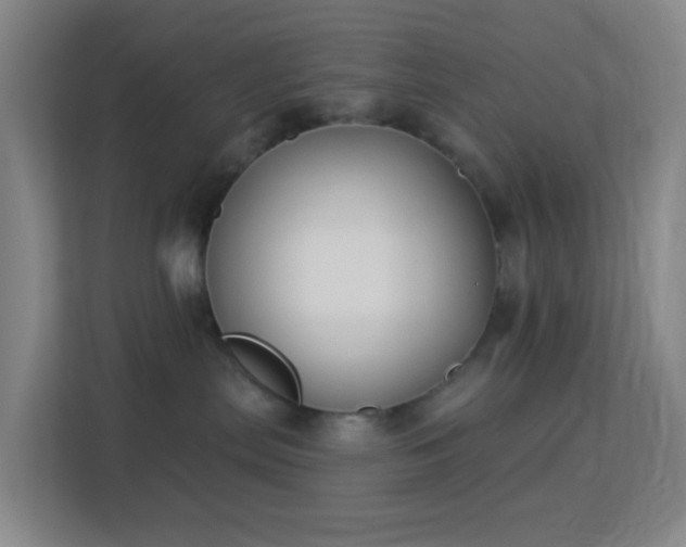 X0000113180287200909111101