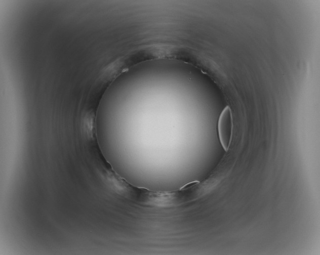 X0000113180288200909111101